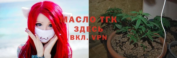 индика Белокуриха