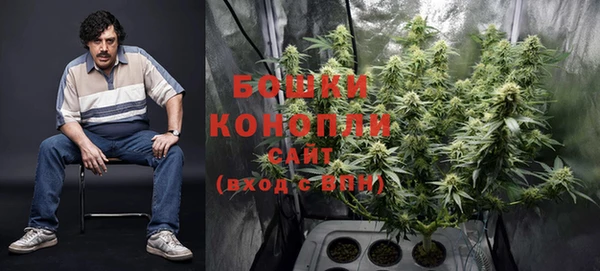 индика Белокуриха