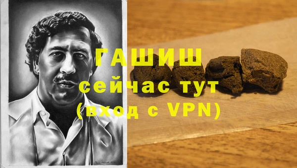 индика Белокуриха
