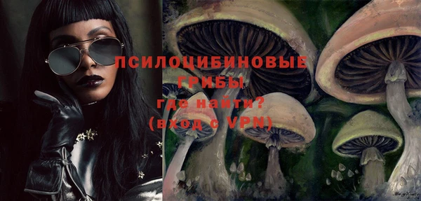 индика Белокуриха
