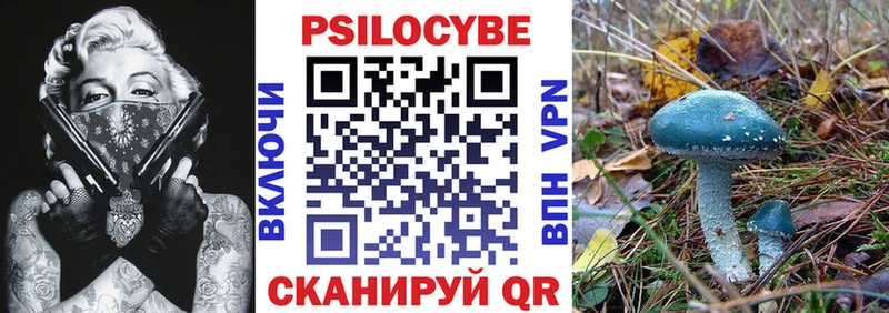 Псилоцибиновые грибы MAGIC MUSHROOMS  Купить где  Малаховка 